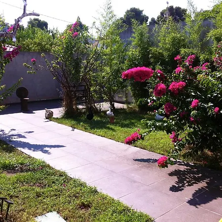 Appart hôtel Island *